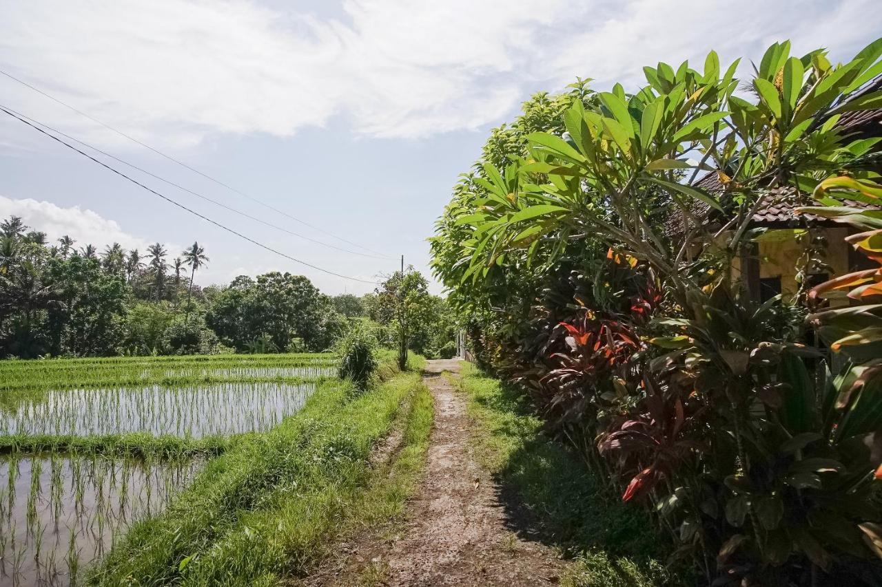 Mejan Home Stay Balian Extérieur photo
