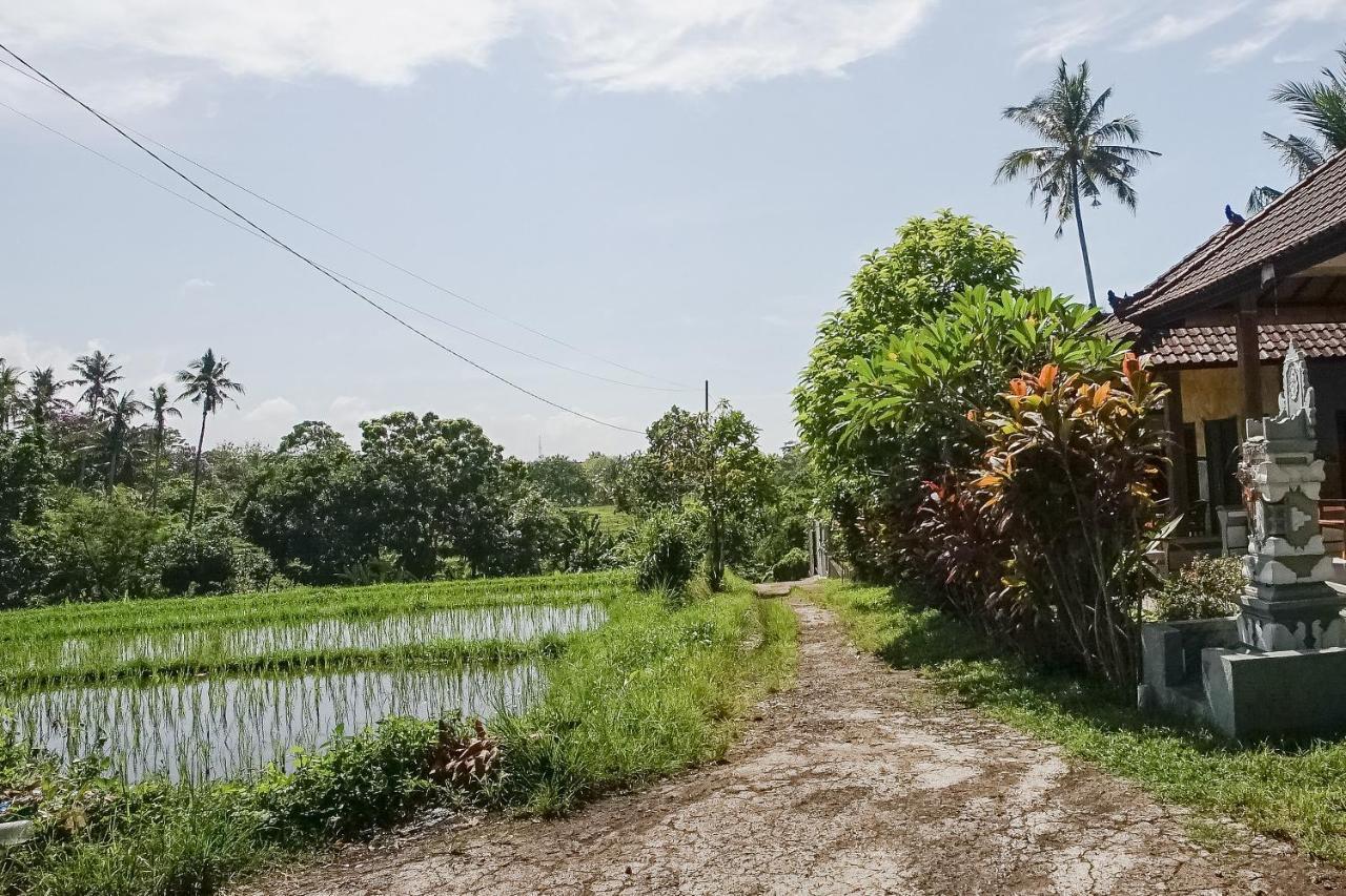 Mejan Home Stay Balian Extérieur photo